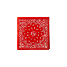 Load image into Gallery viewer, Bandana Cocktail Napkins