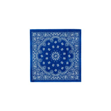 Load image into Gallery viewer, Bandana Cocktail Napkins