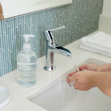 Load image into Gallery viewer, Hillhouse Naturals - Eucalyptus Hand Wash