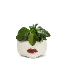 Load image into Gallery viewer, Red Lip Planter