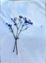 Load image into Gallery viewer, Pressed Dried Botanicals