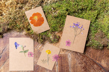 Load image into Gallery viewer, Pressed Dried Botanicals
