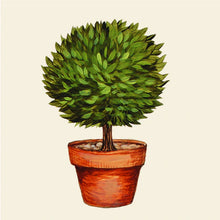 Load image into Gallery viewer, Cocktail Napkins - Topiary