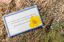 Load image into Gallery viewer, Pressed Dried Botanicals