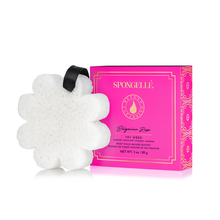 Load image into Gallery viewer, Spongelle Boxed Flower - Bulgarian Rose