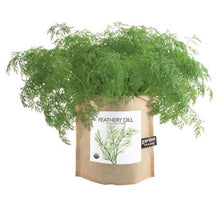 Load image into Gallery viewer, Garden In A Bag - Feathery Dill