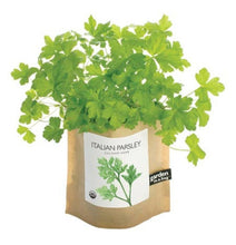 Load image into Gallery viewer, Garden In A Bag - Italian Parsley