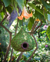 Load image into Gallery viewer, Mossy Raindrop Woven Birdhouse