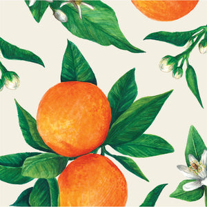 Cocktail Napkins - Orange Orchard