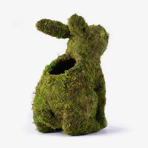 Mossy Bunny Planter