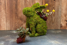 Load image into Gallery viewer, Mossy Bunny Planter