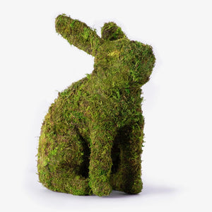 Mossy Bunny Planter