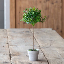 Load image into Gallery viewer, Petite Boxwood Topiary