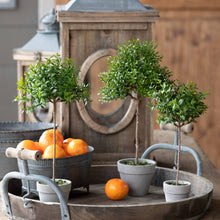 Load image into Gallery viewer, Petite Boxwood Topiary