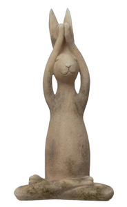 Yoga Bunny