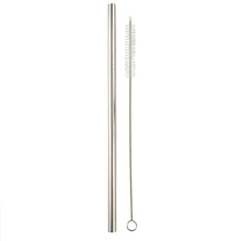 Load image into Gallery viewer, Stainless Steel Reusable Straw - Silver Finish
