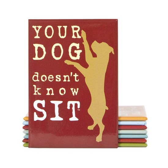 Decorative Magnet - Your Dog Doesn't Know Sit