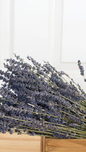 Load image into Gallery viewer, French Lavender Bundle